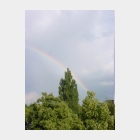 Regenbogen_03.jpg